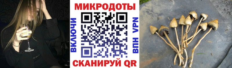 Галлюциногенные грибы Psilocybine cubensis  Кораблино 